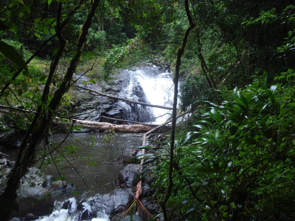Christmas Creek Cafe & Cabins Lamington المظهر الخارجي الصورة